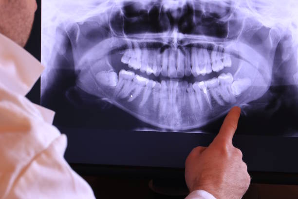 Best Emergency X-Rays and Diagnostics in Mount Pleasant, TX
